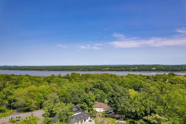 3956 Rte 9 W, Saugerties, NY 12477 - water view featuring a heavily wooded area