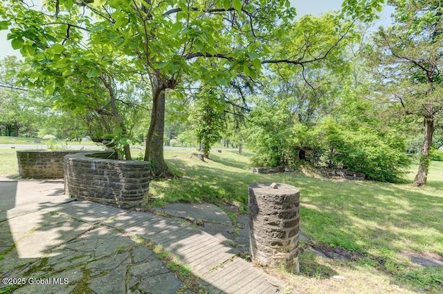 3956 Rte 9 W, Saugerties, NY 12477 - view of green lawn