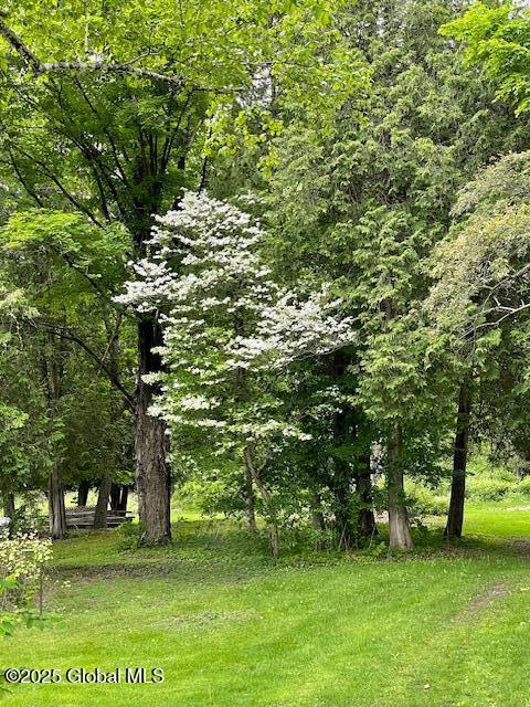 3916 State Highway 2, Brunswick, NY 12180 - view of yard