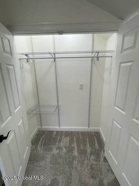 3916 State Highway 2, Brunswick, NY 12180 - walk in closet with carpet floors and lofted ceiling