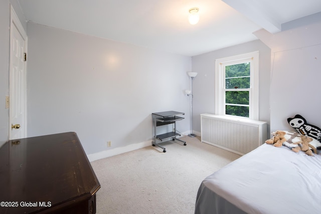 1906 Burdett Ave, Troy, NY 12180 - photo 19