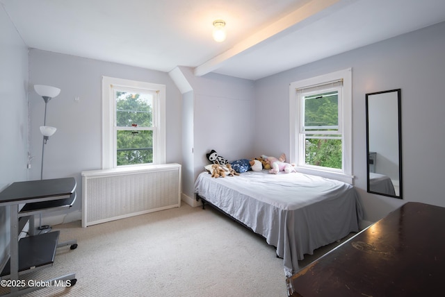 1906 Burdett Ave, Troy, NY 12180 - photo 17