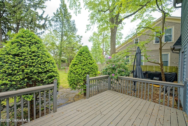 1013 Washington Ave, Albany, NY 12206 - view of wooden deck