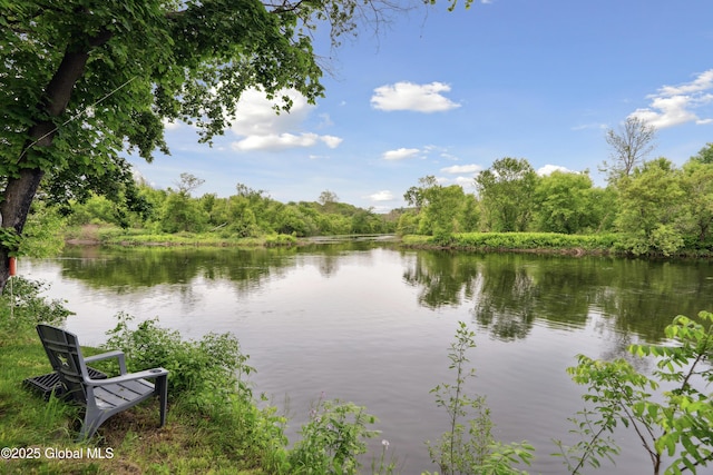 1022 State Route 29, Greenwich, NY 12834 - water view featuring a heavily wooded area