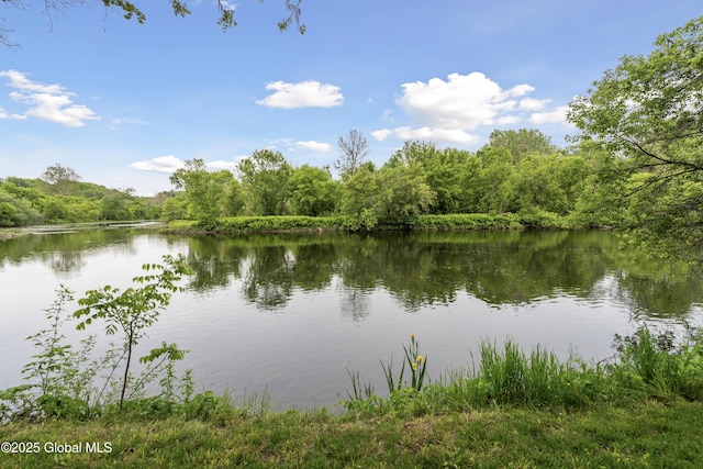 1022 State Route 29, Greenwich, NY 12834 - water view featuring a heavily wooded area