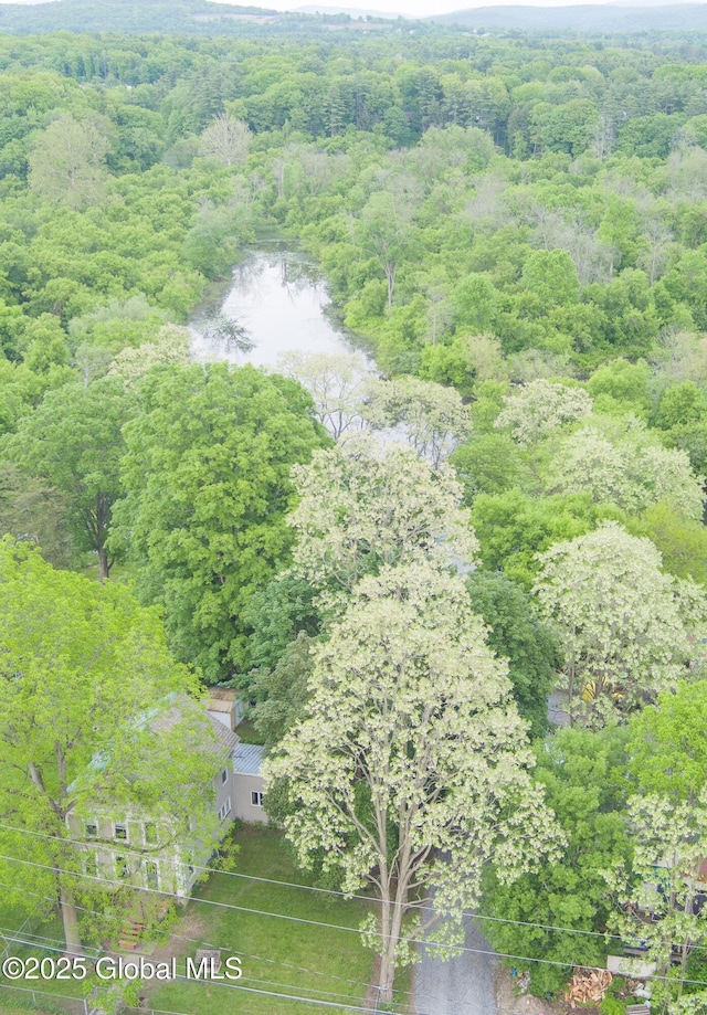 1022 State Route 29, Greenwich, NY 12834 - aerial view of a heavily wooded area and a large body of water