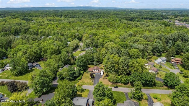 617 Cindy Ln, Ballston, NY 12020 - aerial overview of property's location with a heavily wooded area
