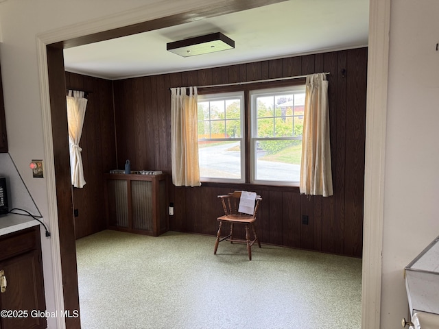 46 Elmhurst Ave, Albany, NY 12203 - unfurnished room featuring wood walls