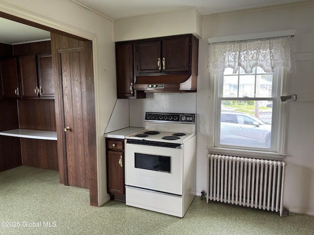 46 Elmhurst Ave, Albany, NY 12203 - kitchen with electric range, radiator heating unit, custom exhaust hood, dark brown cabinets, and light countertops