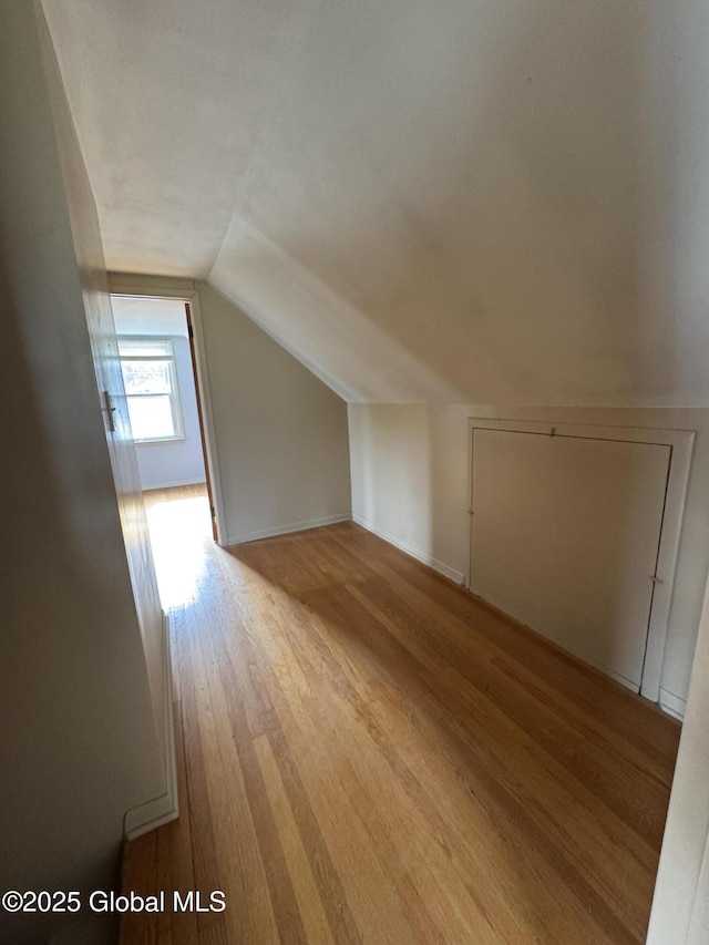 46 Elmhurst Ave, Albany, NY 12203 - bonus room with vaulted ceiling and wood finished floors