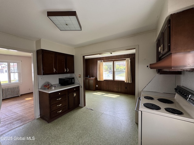 46 Elmhurst Ave, Albany, NY 12203 - kitchen featuring radiator heating unit, white electric range, healthy amount of natural light, and dark brown cabinets