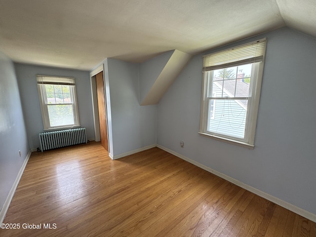 46 Elmhurst Ave, Albany, NY 12203 - additional living space with radiator, light wood finished floors, vaulted ceiling, and baseboards