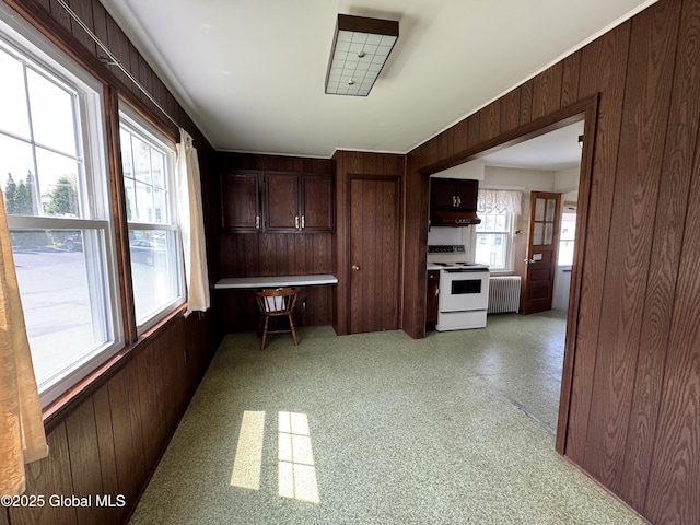 46 Elmhurst Ave, Albany, NY 12203 - kitchen with electric stove, radiator, wooden walls, under cabinet range hood, and dark brown cabinetry