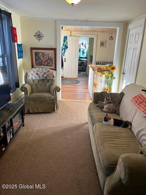 159 Champlain Ave, Ticonderoga, NY 12883 - carpeted living area with crown molding