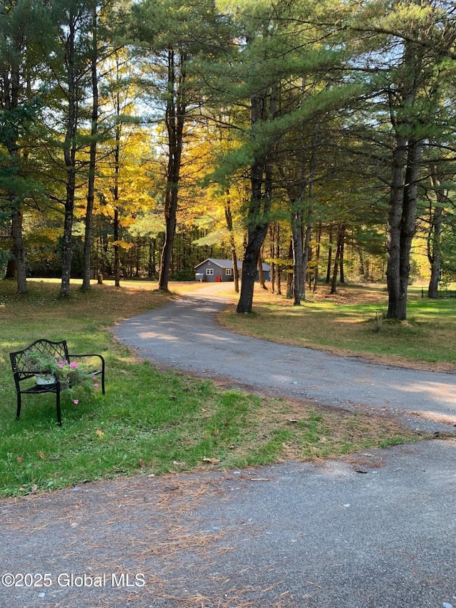 326 Middle Rd, Crown Point, NY 12928 - view of asphalt driveway