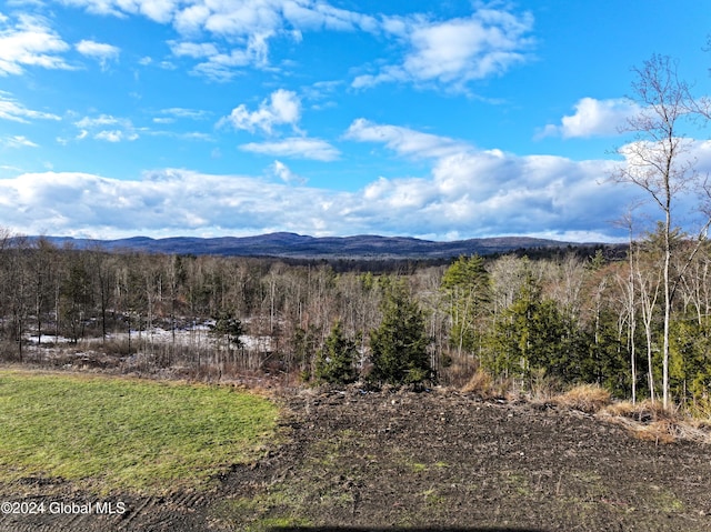 74 Dick Hyatt Ln, Whitehall, NY 12887 - view of mountain background featuring a forest