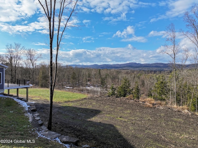 74 Dick Hyatt Ln, Whitehall, NY 12887 - view of mountain background featuring a forest