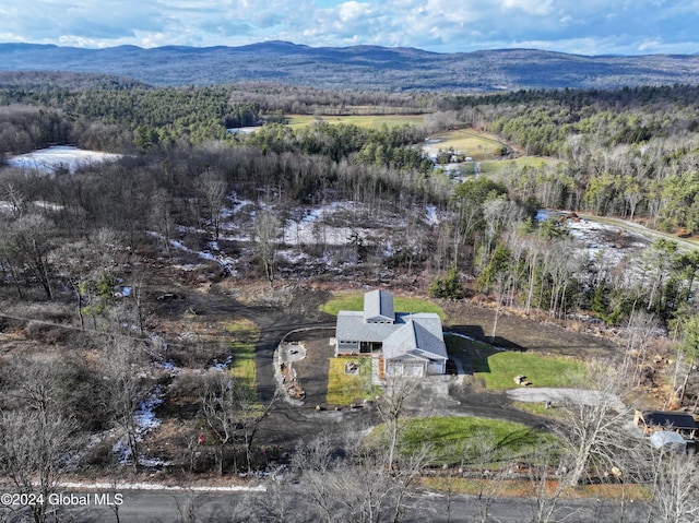 74 Dick Hyatt Ln, Whitehall, NY 12887 - view of property location featuring a forest and a mountain backdrop