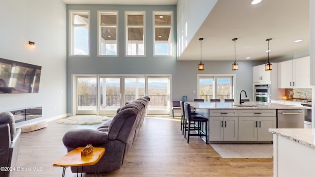 74 Dick Hyatt Ln, Whitehall, NY 12887 - living room with light wood-type flooring, recessed lighting, a high ceiling, and baseboards