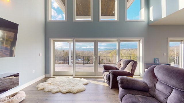 74 Dick Hyatt Ln, Whitehall, NY 12887 - living room featuring a high ceiling, wood finished floors, and baseboards
