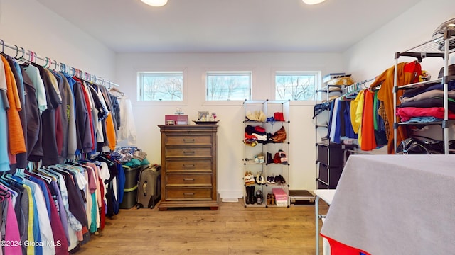 74 Dick Hyatt Ln, Whitehall, NY 12887 - walk in closet featuring light wood finished floors