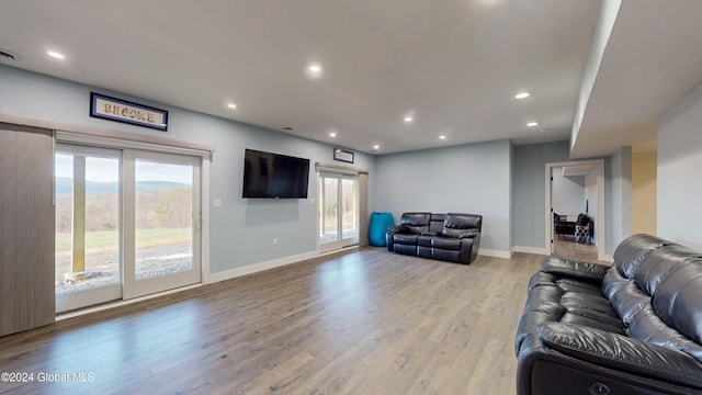 74 Dick Hyatt Ln, Whitehall, NY 12887 - living room with light wood-style flooring, baseboards, and recessed lighting
