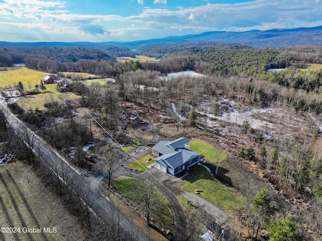 74 Dick Hyatt Ln, Whitehall, NY 12887 - view from above of property with a mountainous background and a forest