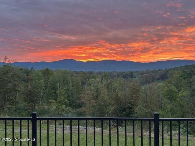 74 Dick Hyatt Ln, Whitehall, NY 12887 - view of mountain backdrop featuring a forest