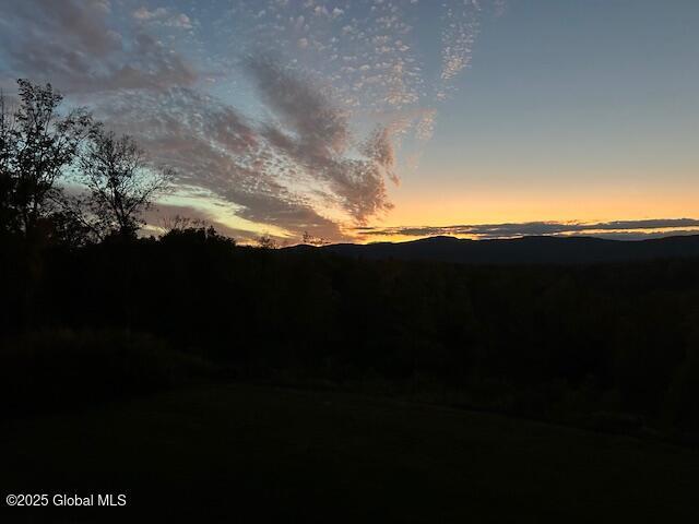 74 Dick Hyatt Ln, Whitehall, NY 12887 - view of mountain background