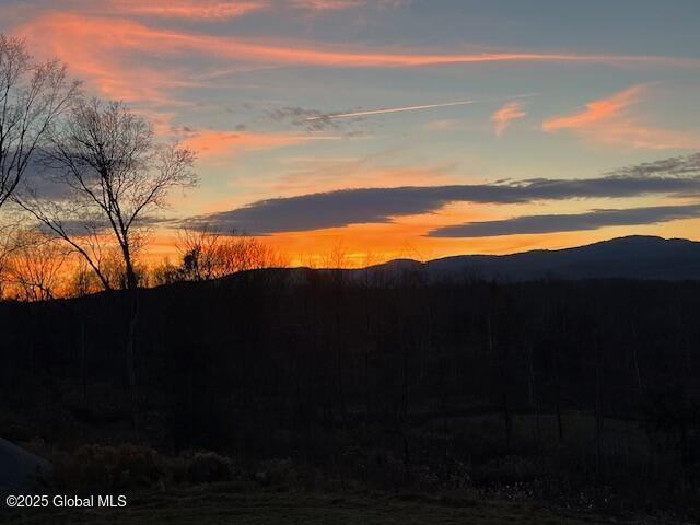 74 Dick Hyatt Ln, Whitehall, NY 12887 - view of mountain backdrop