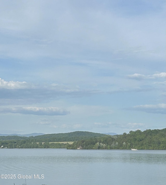 377 Nys Route 22, Ticonderoga, NY 12883 - photo 25