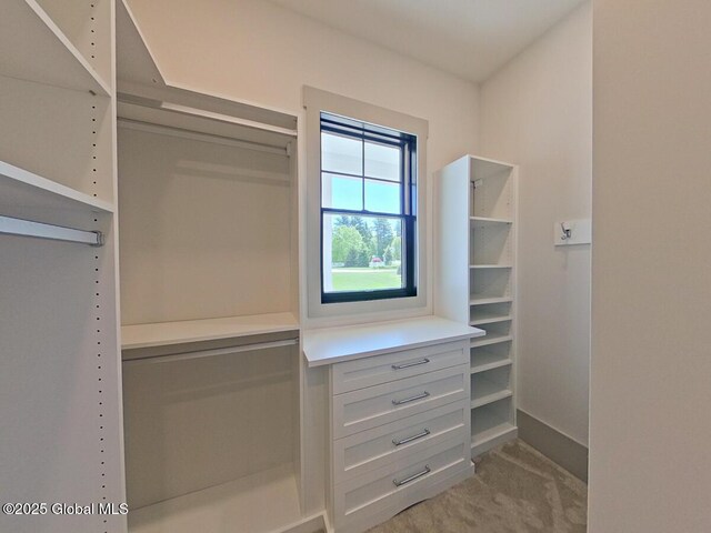 22 Burnham Rd, Wilton, NY 12831 - walk in closet with light colored carpet