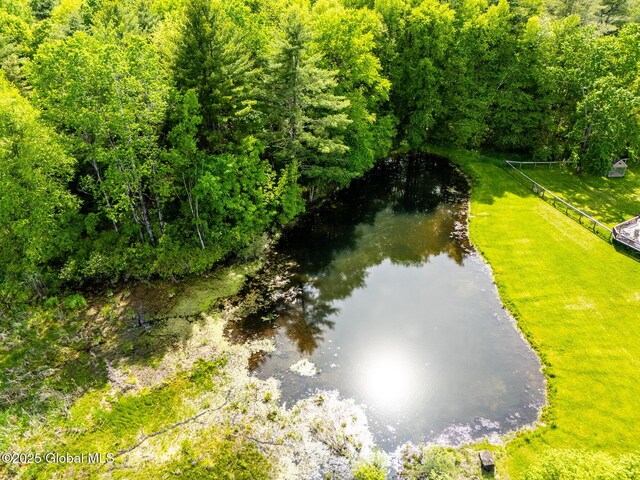 24 Wildwood Pl, Queensbury, NY 12804 - photo 39