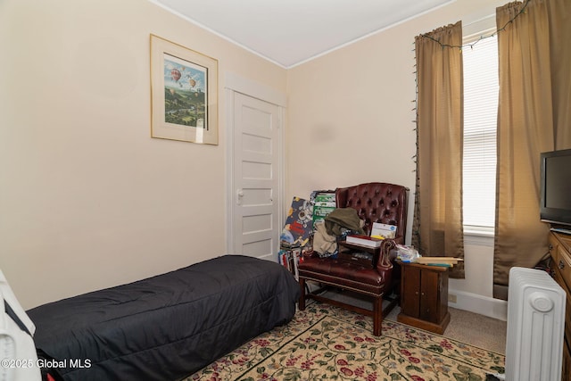 1165 Glenwood Blvd, Schenectady, NY 12308 - bedroom featuring radiator heating unit, carpet flooring, crown molding, multiple windows, and baseboards