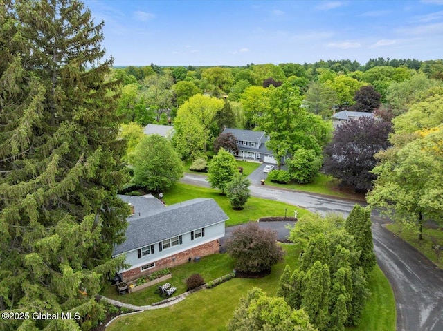 1335 Stanley Ln, Niskayuna, NY 12309 - view of subject property featuring a forest