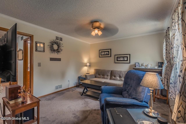 195 Country Club Ln, Fort Johnson, NY 12070 - carpeted living area featuring crown molding, ceiling fan, baseboards, and a textured ceiling