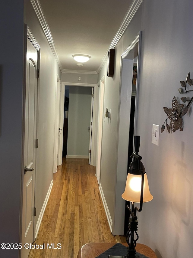 17 Sylvan Ln, Clifton Park, NY 12065 - hallway with light wood-style flooring, crown molding, and baseboards