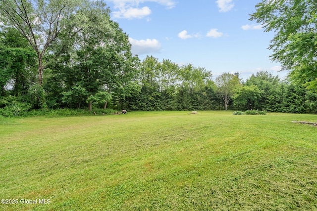 13 Willow Ln, Halfmoon, NY 12118 - view of grassy yard