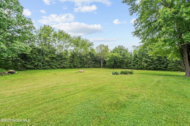 13 Willow Ln, Halfmoon, NY 12118 - view of green lawn
