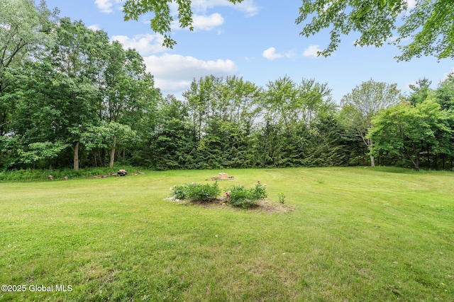 13 Willow Ln, Halfmoon, NY 12118 - view of grassy yard