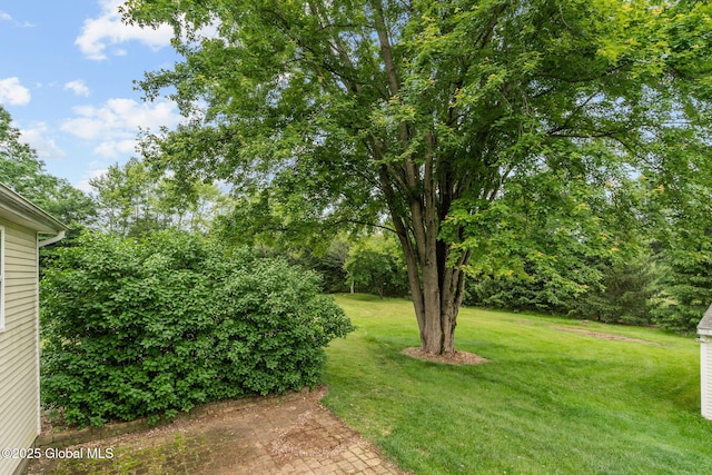 13 Willow Ln, Halfmoon, NY 12118 - view of green lawn