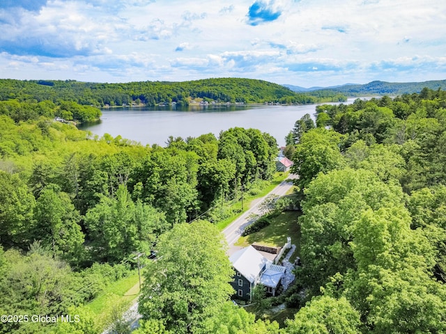 4333 County Route 48, Argyle, NY 12809 - drone / aerial view of a forest and a nearby body of water