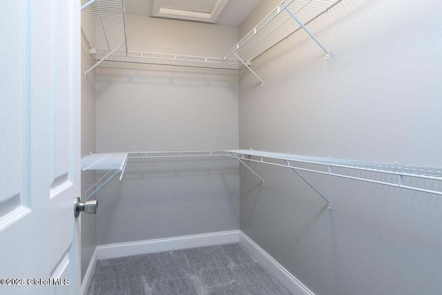 30 W St, Hudson Falls, NY 12839 - spacious closet with carpet