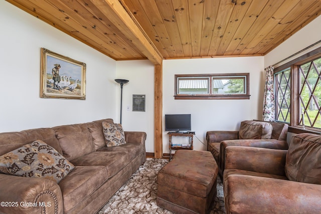 5882 Lake Rd, Galway, NY 12074 - living area with wood ceiling