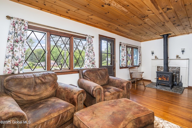 5882 Lake Rd, Galway, NY 12074 - living room with a wood stove, wood finished floors, and wooden ceiling