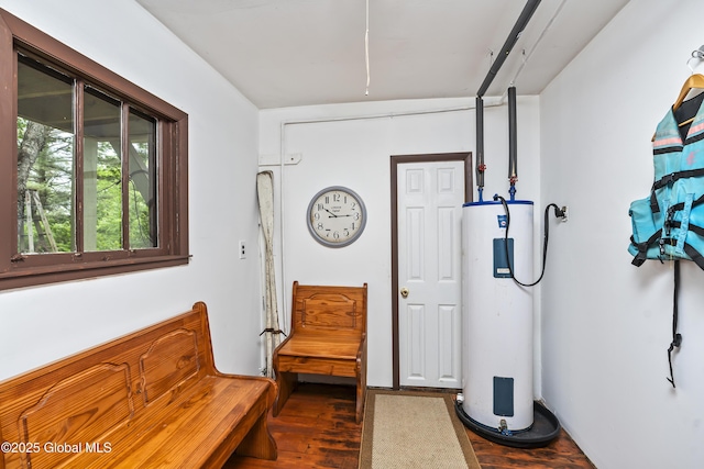 5882 Lake Rd, Galway, NY 12074 - living area featuring water heater and dark wood-style floors