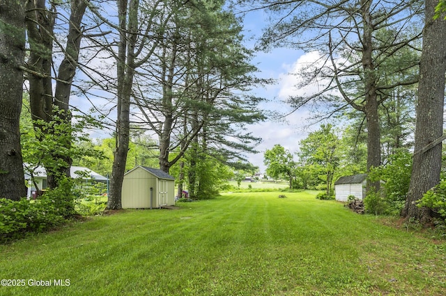 5882 Lake Rd, Galway, NY 12074 - view of grassy yard
