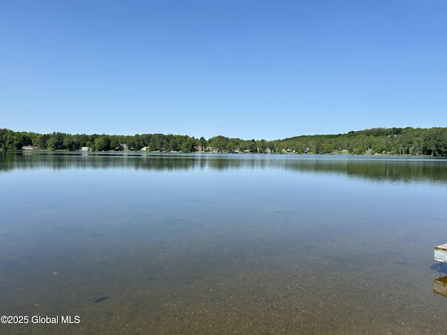 5882 Lake Rd, Galway, NY 12074 - water view featuring a heavily wooded area