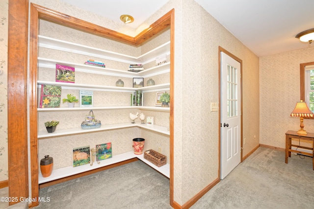 9 S Maple Ln, Colonie, NY 12211 - view of pantry