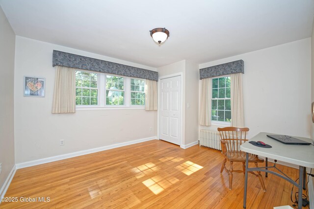 9 S Maple Ln, Colonie, NY 12211 - home office with radiator heating unit, light wood-style floors, plenty of natural light, and baseboards